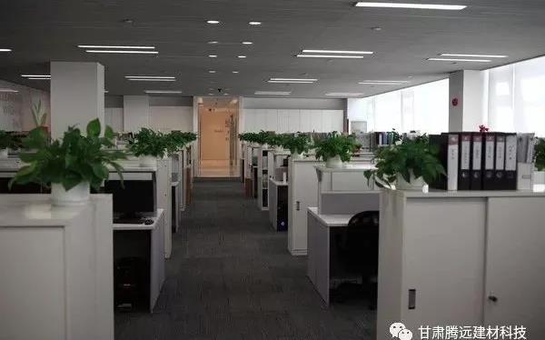 ����ͷ����ҹ�����¼��ڳ�Ƹ��Ӣ