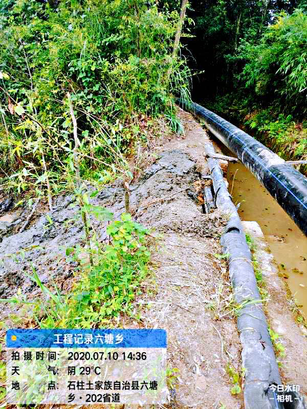 ʯ��������������������202ʡ��